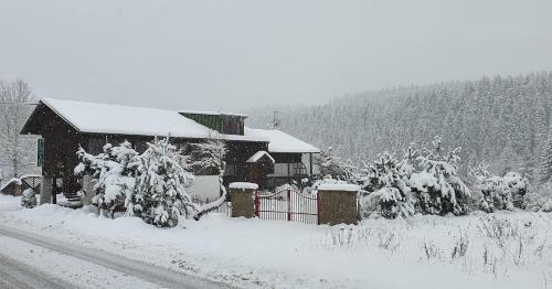 Hostal Penzion U Dvou P�n?