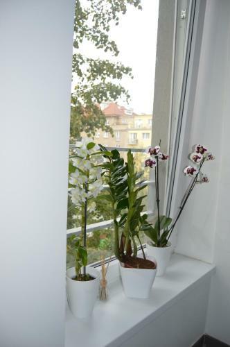 Hotel Ar�na