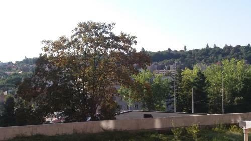 Apartments Belandria