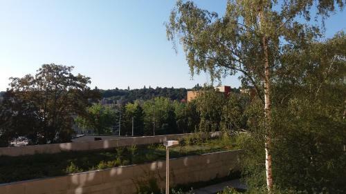 Apartments Belandria
