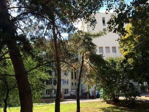Apartments Cordeus