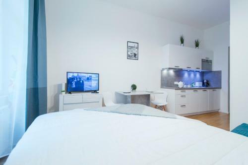 Modern Apartment Pricna 4