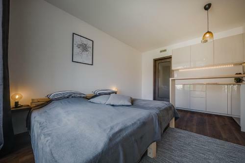 Homy Apartments