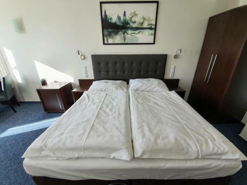 Hotel Tj Chodov