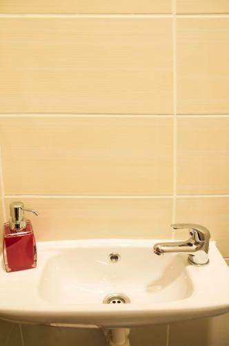 Apartment Za Poricskou Branou