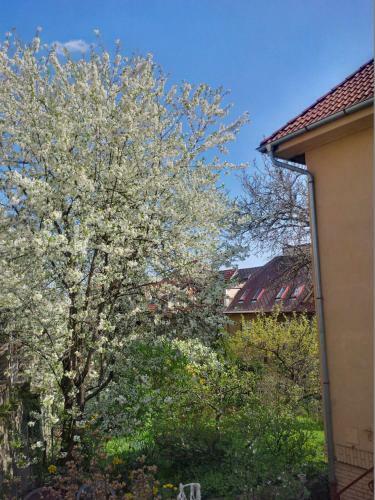 Apartamento The Garden In The City