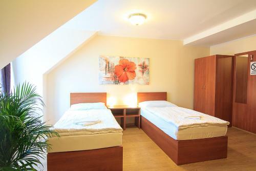 Hostal Penzion U ?ejpu