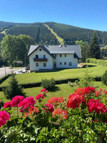 Hostal Pension George