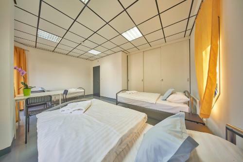 Apartm�ny Hotel Dav�dek