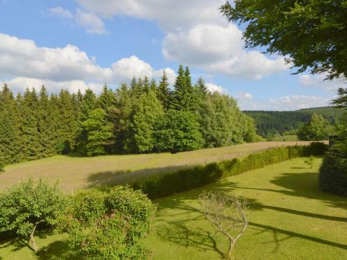 Luxurious Holiday Home In Kalterherberg With Sauna