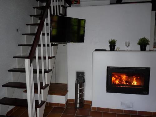 Apartamento 50091 X Fw Berdumerriege 16