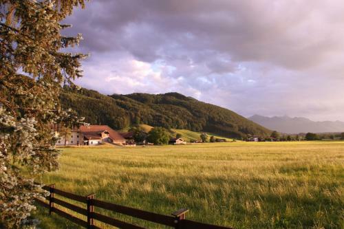 Apartamentos Ciao-aschau Bergen Fewo Alpenheide Waldhauser