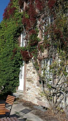 Apartamento Ferienwohnungen Burg Blankenheim