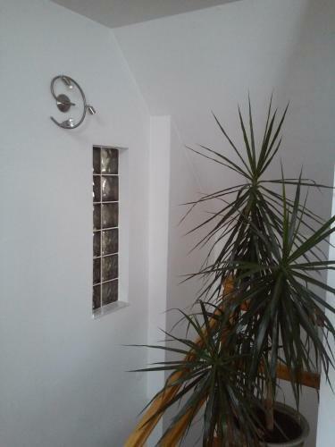 Apartamentos Casa Magdalena