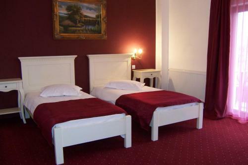 Hostal Pensiunea Velvet