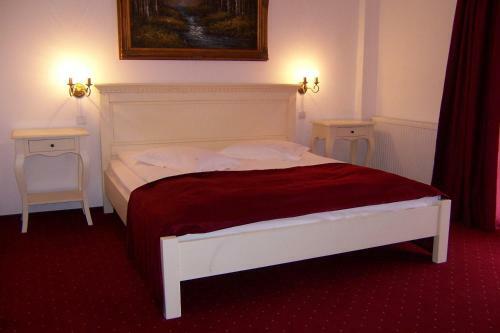 Hostal Pensiunea Velvet