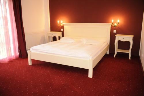 Hostal Pensiunea Velvet