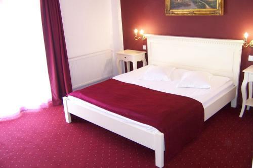 Hostal Pensiunea Velvet