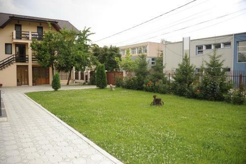 Hostal Pensiunea Velvet
