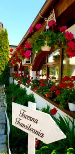 Hostal Vila Elisabeta
