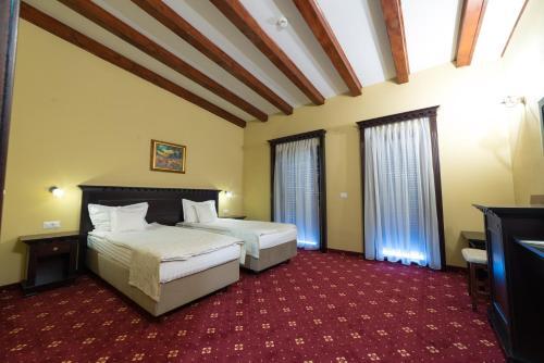 Hostal Vila Steaua Nordului