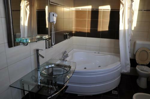 Hostal Vila Steaua Nordului