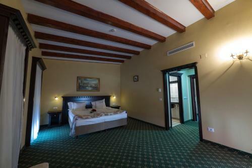 Hostal Vila Steaua Nordului