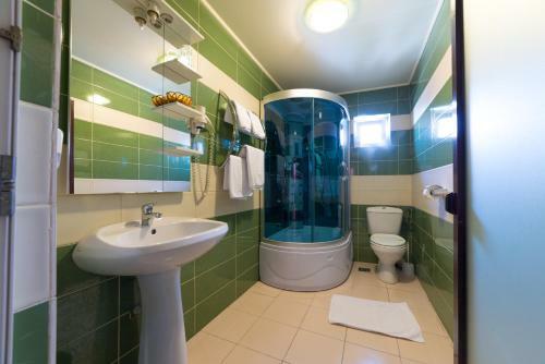 Hostal Vila Steaua Nordului