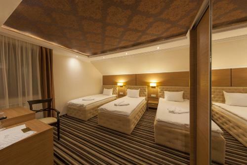 Hotel Mercur