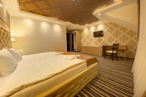 Hotel Mercur