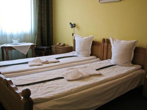Hotel Decebal Bistrita