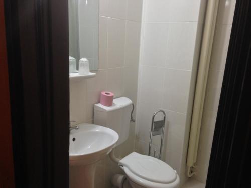 Hotel Decebal Bistrita