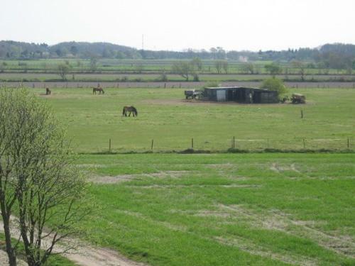 Apartamento Vogelsand 348
