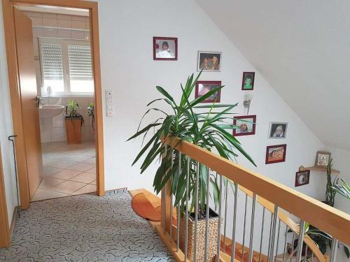 ??? ? ?????? ????!gem�tliches Haus Im Herzen Des Schwarzwaldes
