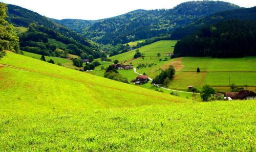 ??? ? ?????? ????!gem�tliches Haus Im Herzen Des Schwarzwaldes