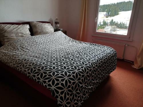 Apartamento Haus Gretel