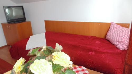 Hostal Pensiunea Mioval