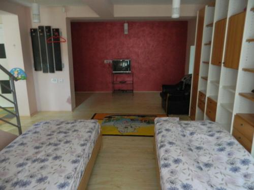 Hostal Cazare Vio
