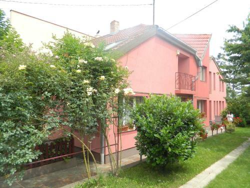 Hostal Cazare Vio