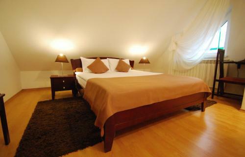 Hostal Pensiunea Elite