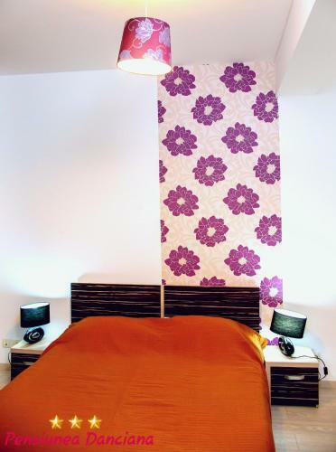 Hostal Pension Daciana