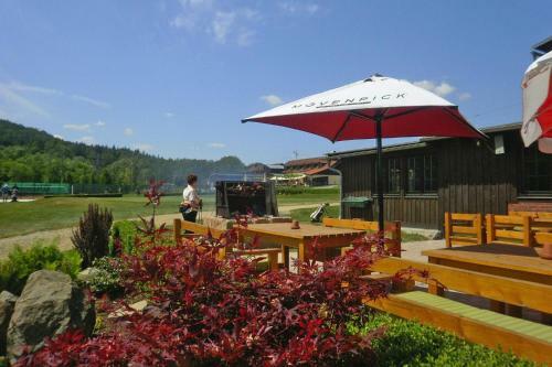 Holiday Home Gro�sch�nau - Dmg08100g-fyb