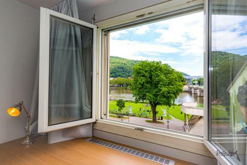 Bs Neckar Apartment Heidelberg