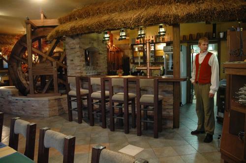 Hotel Jel�nkova Vila