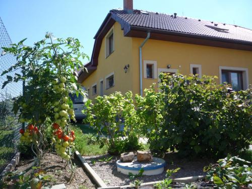 Apartm�ny Gr�f
