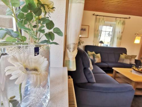 Ferienhaus Scharh�rn
