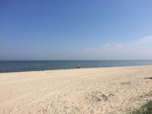 Ferienhaus Scharh�rn