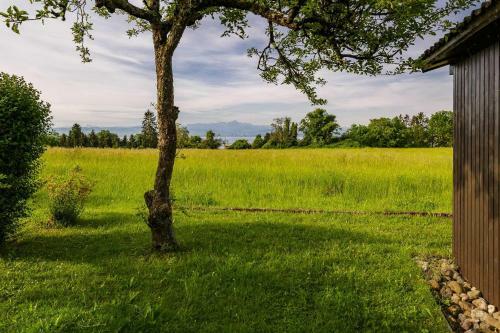Ferienwohnpark Immenstaad Am Bodensee Satteldachhaus Typ 9 Sd 11