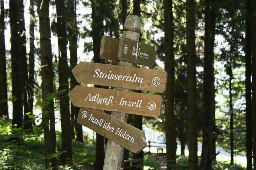 Chalet Falkenstein Inzell - Dal03100b-t