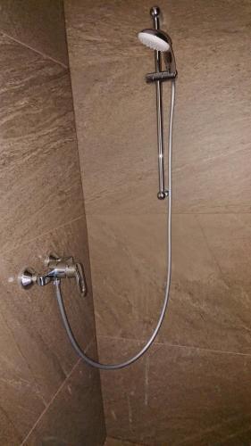Hotel Dv?r Pec�nov